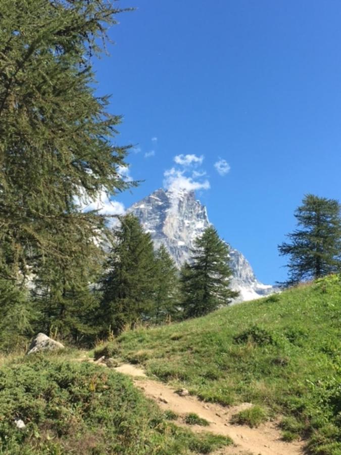 Casa Cervinia Circus Leilighet Breuil-Cervinia Eksteriør bilde